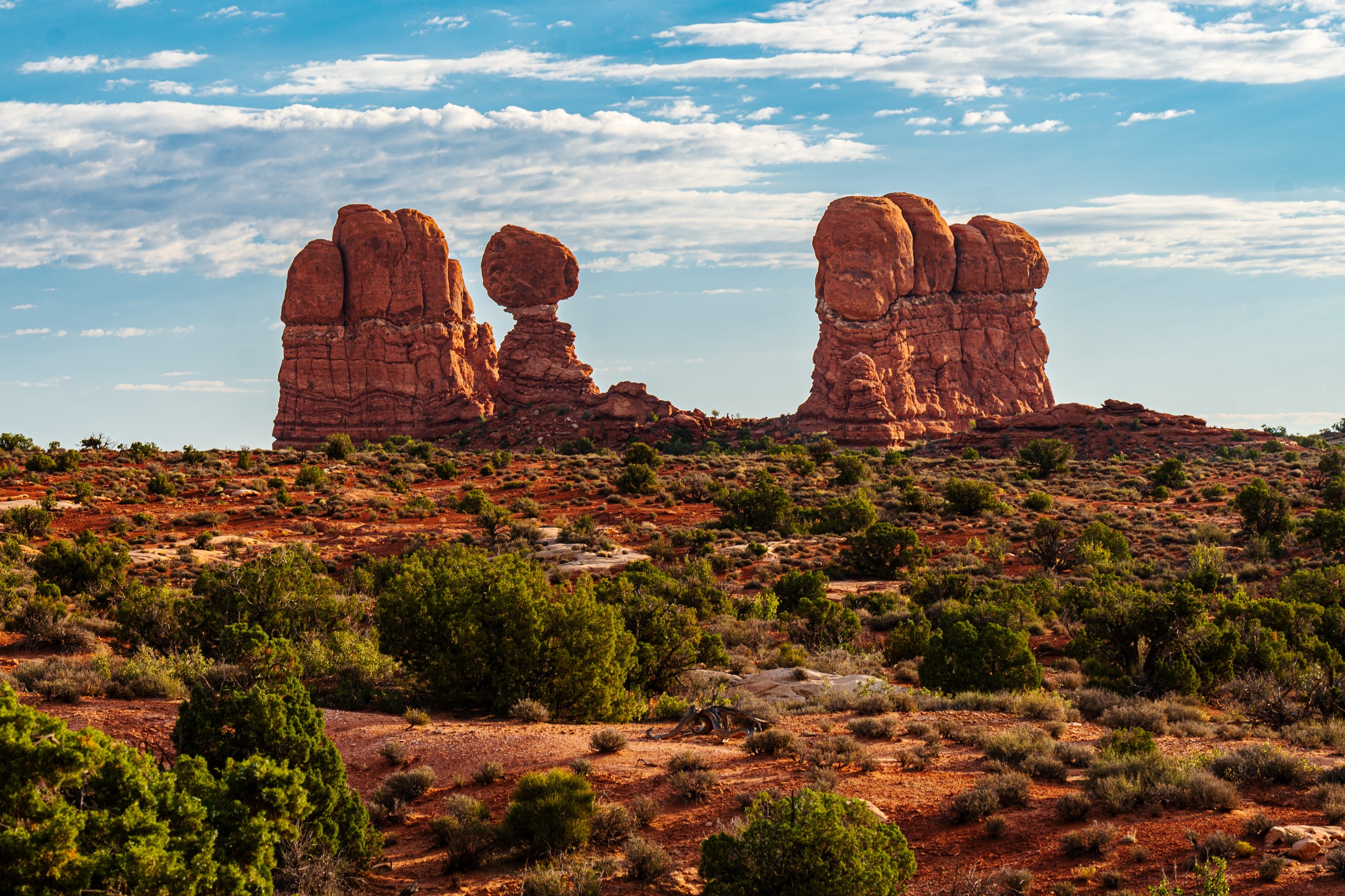 USA 2024 5 Sterne 107